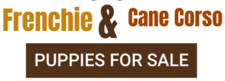 cropped-cropped-Logo-pet-adoption-templatecatdog-Made-with-PosterMyWall-1.png